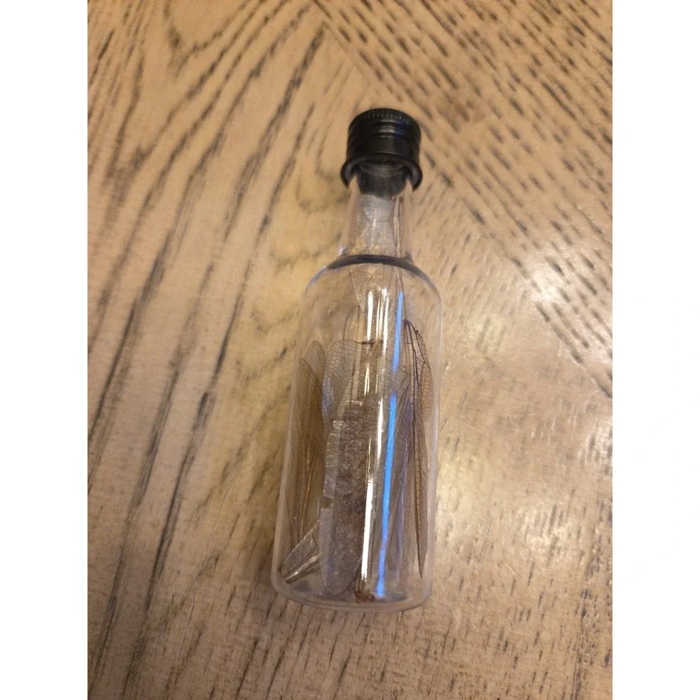Dragonfly Wings Real Wings 15 Wings Potion Bottle Apothecary Witchcraft Potion